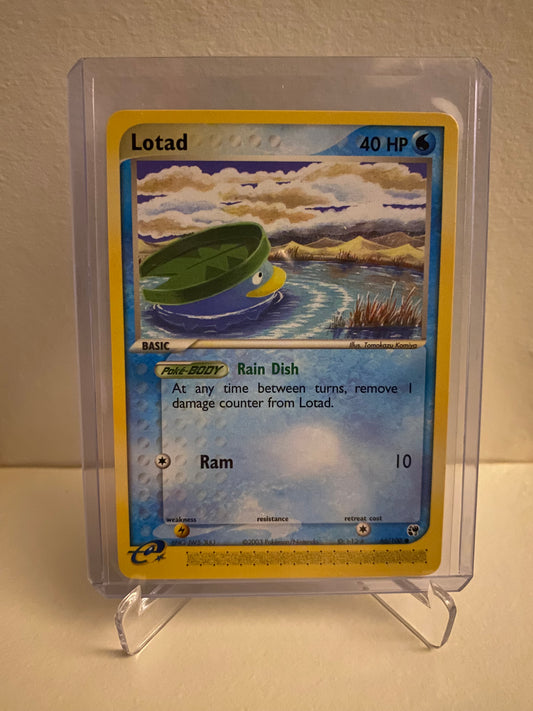 Lotad (66/100)