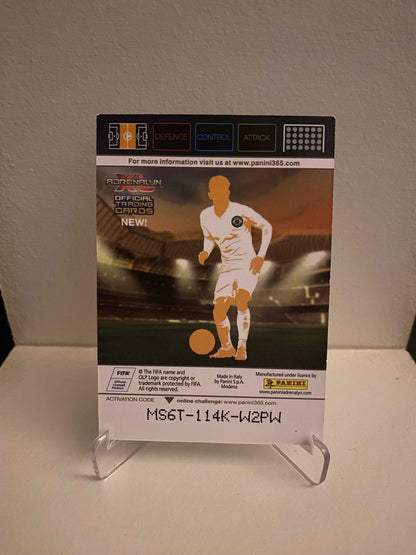 Fodbold kort Panini Adrenalyn XL FIFA 365 Nordic Edition 2015 - Flamengo Luiz Antonio - Pokedexet