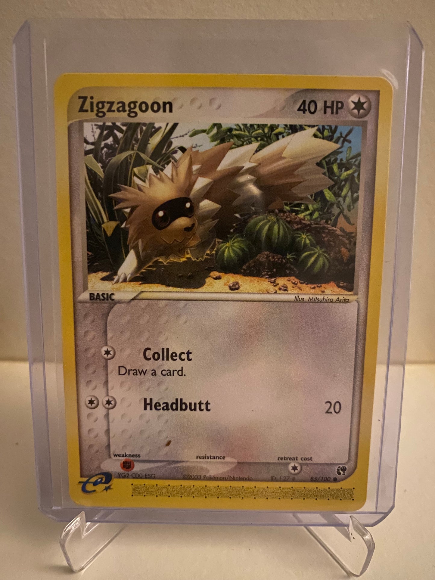 Zigzagoon (85/100)