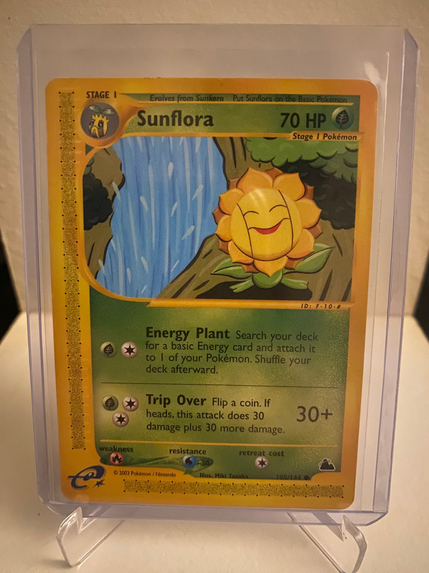 Sunflora (105/144)