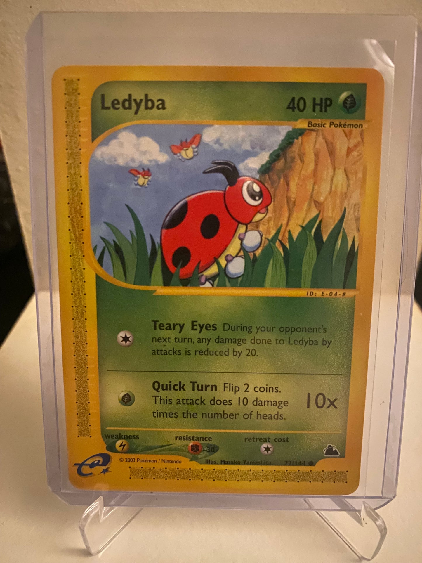 Ledyba (72/144)