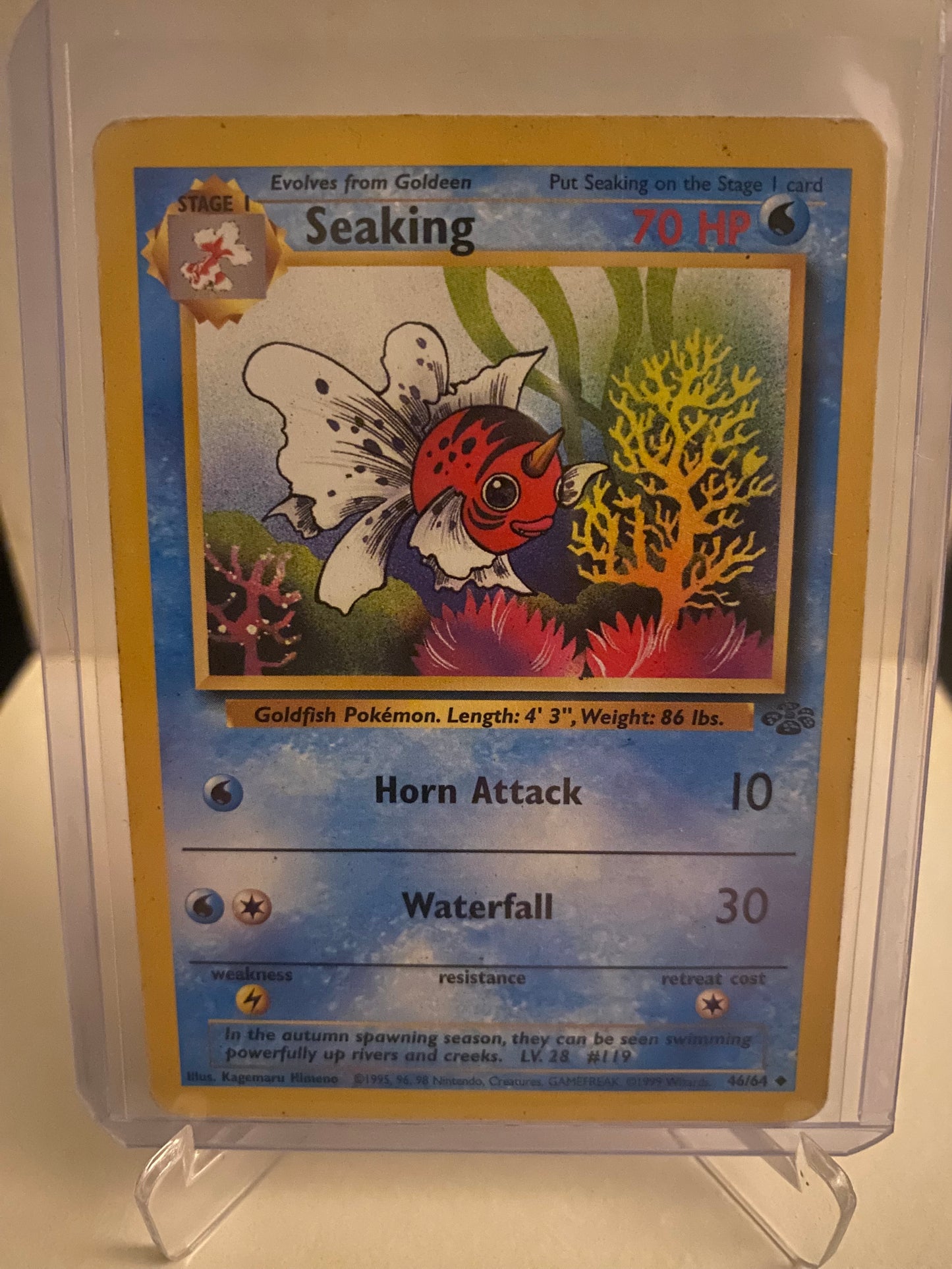 Seaking (46/64)