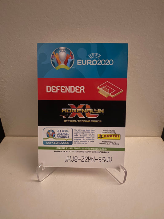 Fodbold kort Panini Adrenalyn XL UEFA EURO 2020 - Wales Ben Davies - Pokedexet
