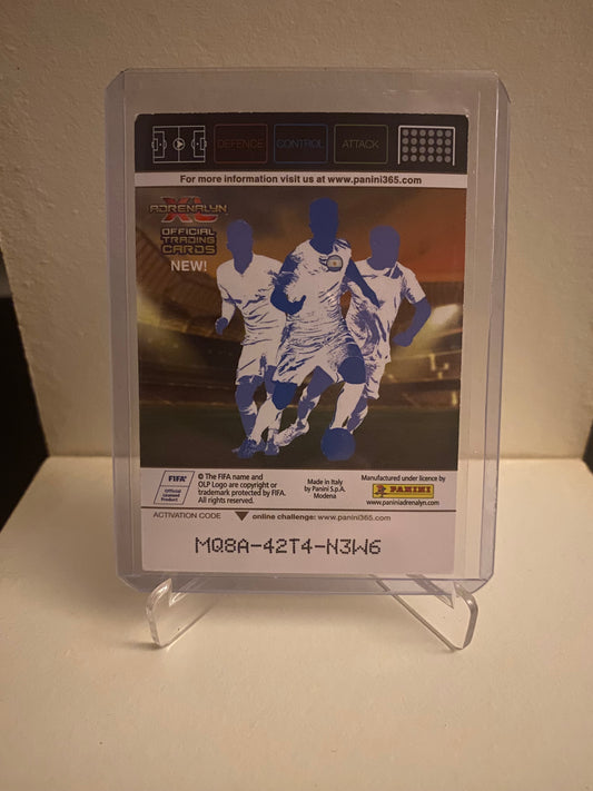 Panini Adrenalyn XL FIFA 365 - Boca Juniors Emblem Holofoil - Pokedexet