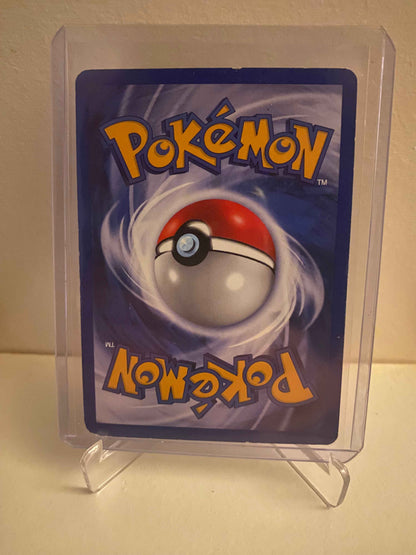 Pokemon kort Neo Genesis - Swinub (79/111) - Pokedexet