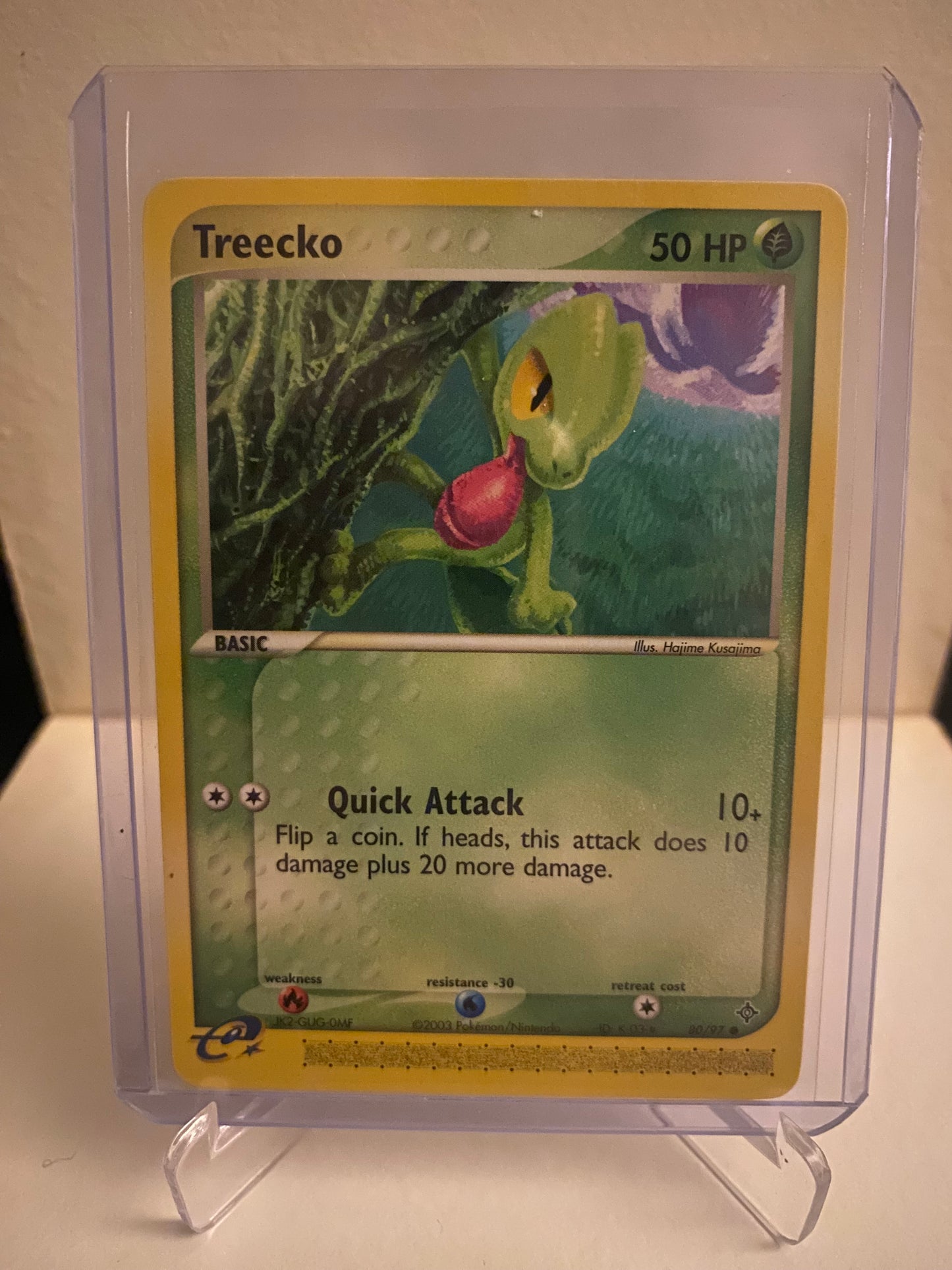 Treecko (80/97)