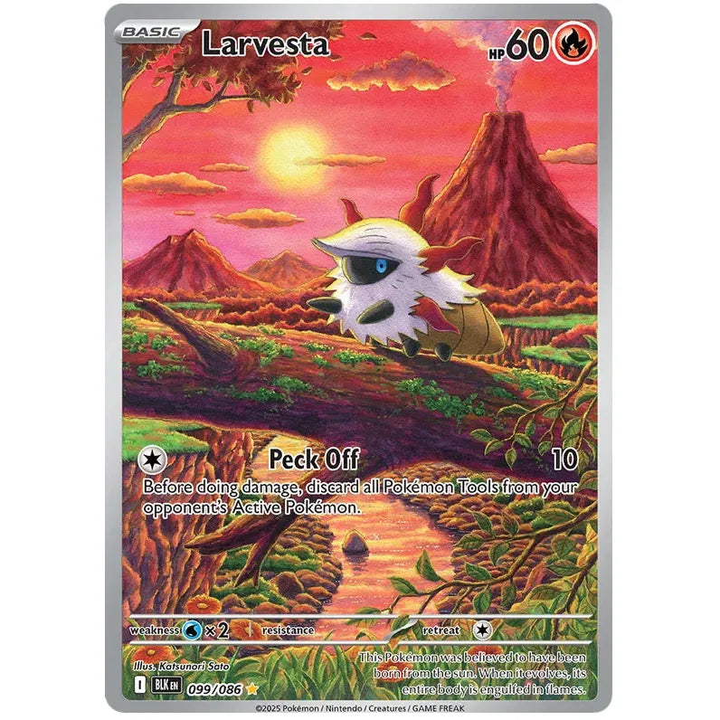Pokemon Booster Bundle - Scarlet & Violet Black Bolt