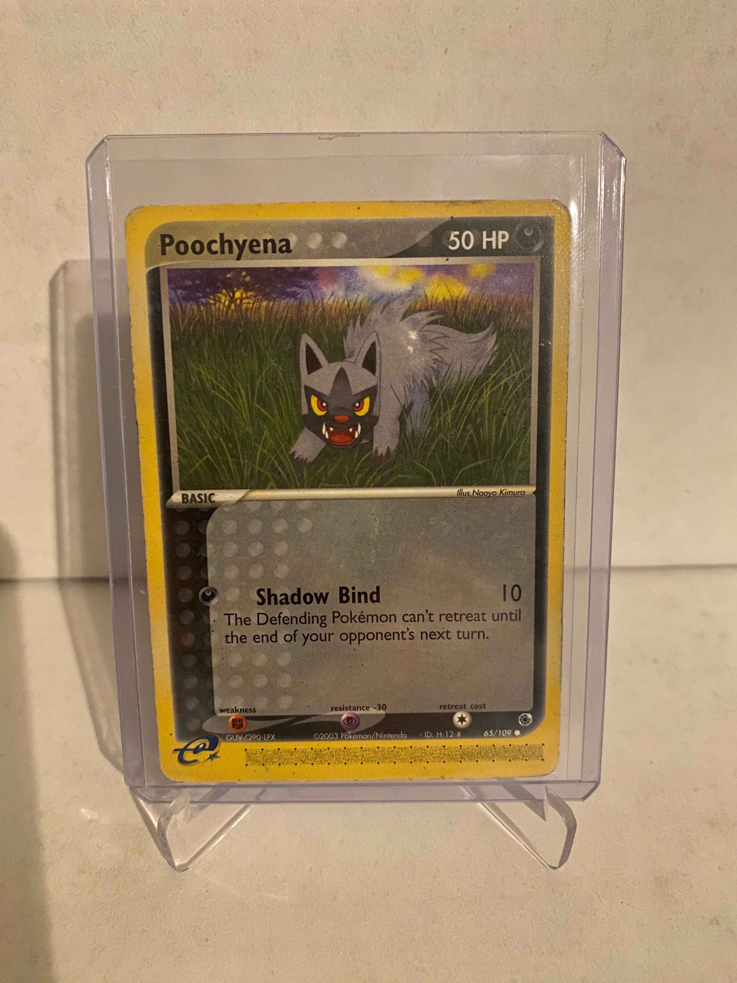 Pokemon kort EX Ruby & Sapphire - Poochyena (65/109) - Pokedexet