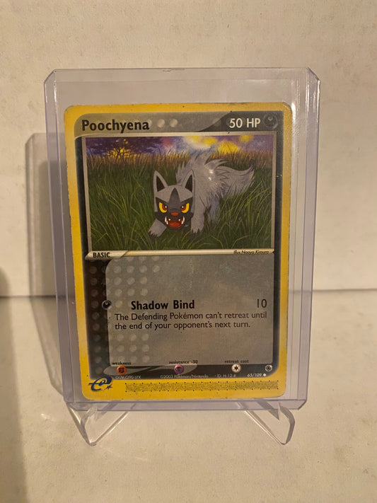Pokemon EX Ruby & Sapphire Poochyena (65/109)