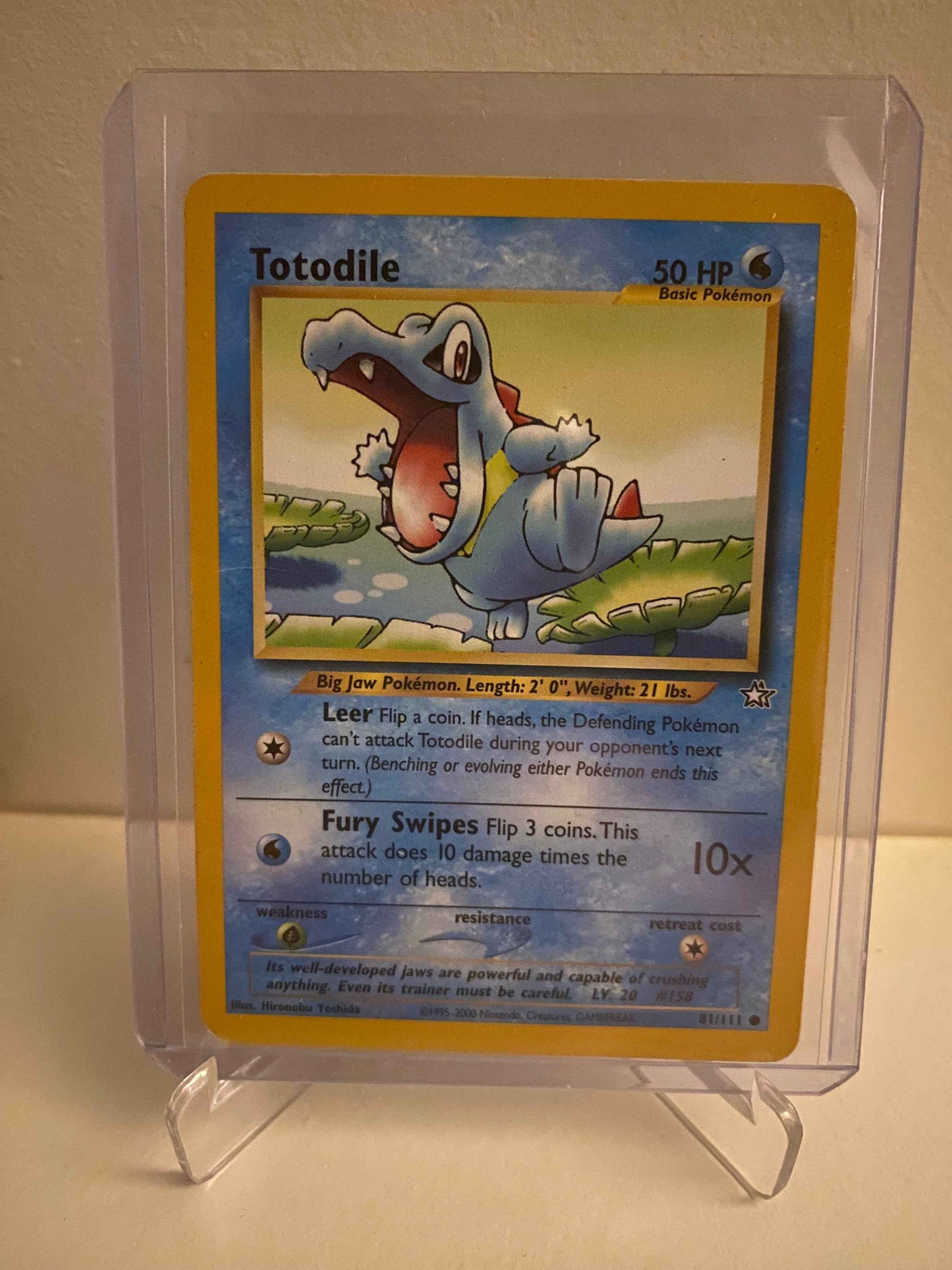 Pokemon kort Neo Genesis - Totodile (81/111) - Pokedexet