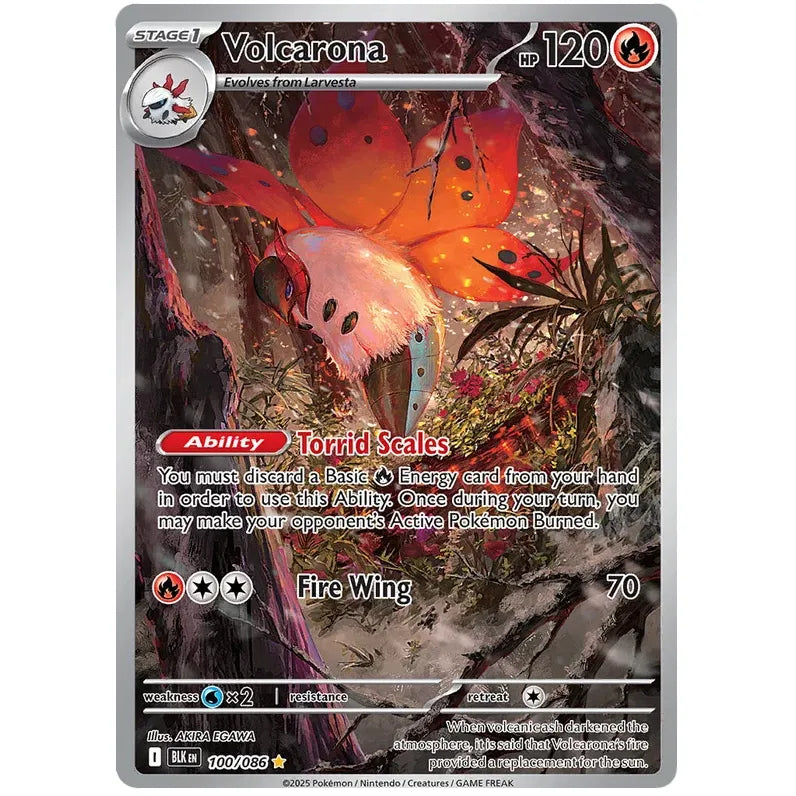 Pokemon Booster Bundle - Scarlet & Violet Black Bolt